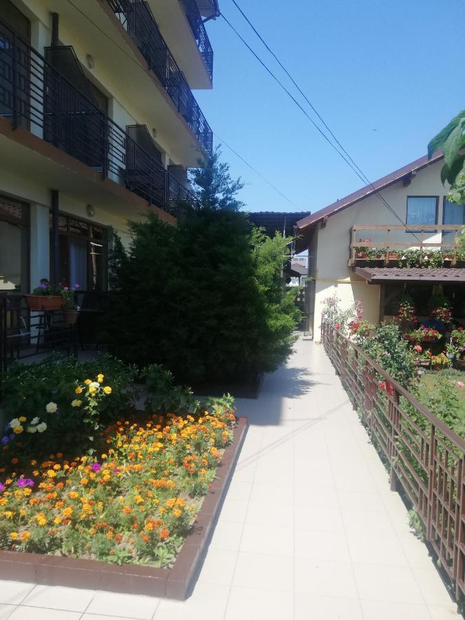 Villa Pescarus Costinesti Extérieur photo